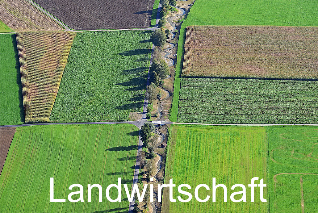 Foto: LANDWIRTSCHAFT. (Luftaufnahme von Niklaus Wächter)