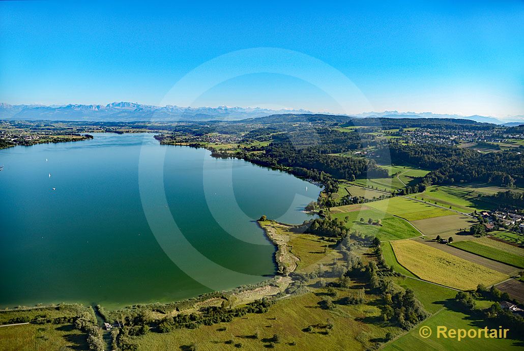 Foto: Am Nordende des Greifensees ZH. (Luftaufnahme von Niklaus Wächter)