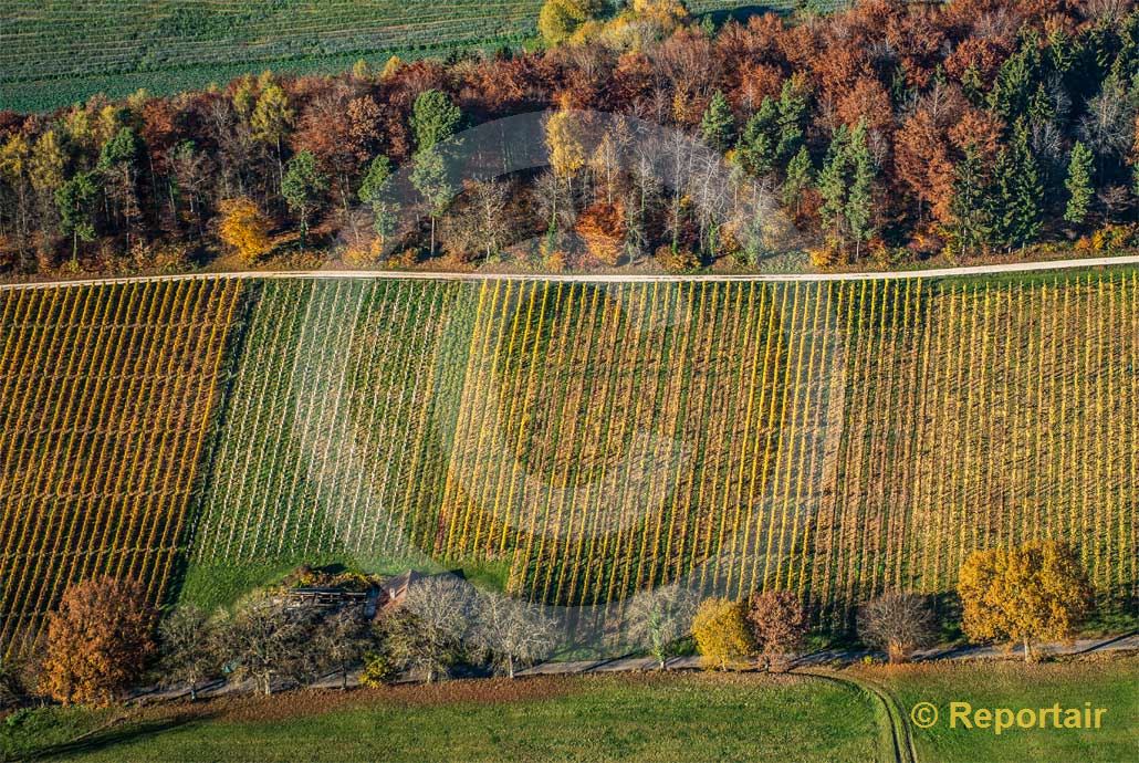 Foto: Herbst im Klettgau SH. (Luftaufnahme von Niklaus Wächter)