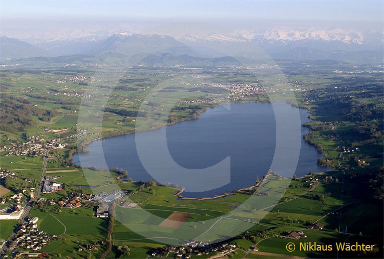 Foto: Der Baldeggersee mit dem Alpenkamm im Hintergrund. (Luftaufnahme von Niklaus Wächter)