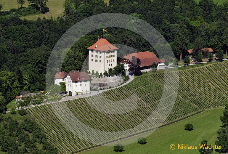 Foto: Schloss Heidegg bei Hitzkirch LU. (Luftaufnahme von Niklaus Wächter)