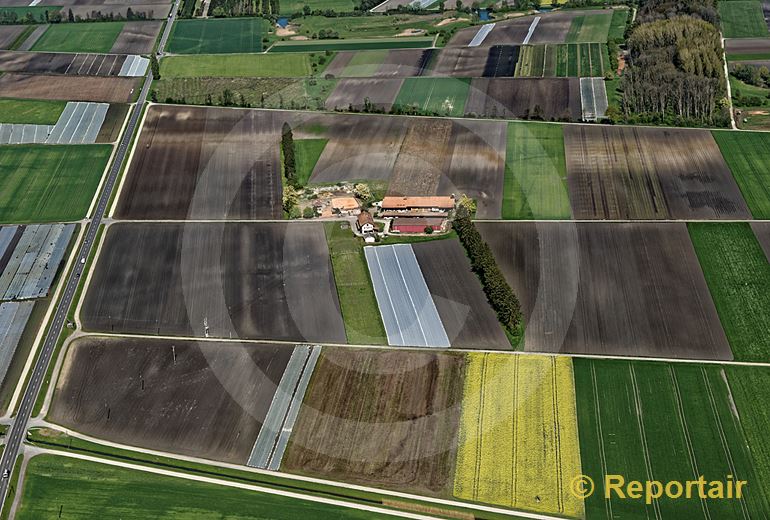 Foto: Feldermosaik im Grossen Moos bei Treiten BE. (Luftaufnahme von Niklaus Wächter)