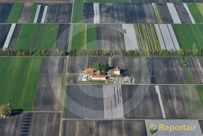 Foto: Hof im Grossen Moos des Berner Seelandes.. (Luftaufnahme von Niklaus Wächter)