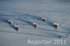 Luftaufnahme SCHIFFFAHRT/Dampferparade Vierwaldstaettersee - Foto Dampferparade LuzernDampferparade 1647