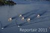 Luftaufnahme SCHIFFFAHRT/Dampferparade Vierwaldstaettersee - Foto Dampferparade Luzern 1659