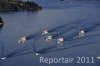 Luftaufnahme SCHIFFFAHRT/Dampferparade Vierwaldstaettersee - Foto Dampferparade Luzern 1660