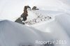 Luftaufnahme Kanton Bern/Jungfraujoch - Foto Jungfraujoch 3501