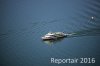 Luftaufnahme SCHIFFFAHRT/Zuerichsee-Schifffahrt - Foto Motorschiff Helvetia 3556