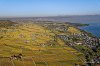 Luftaufnahme Kanton Waadt/Weinberge am Genfersee - Foto Genfersee bei Rolle 7631 DxO