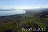 Luftaufnahme Kanton Waadt/Weinberge am Genfersee - Foto Weinberge 6540