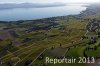 Luftaufnahme Kanton Waadt/Weinberge am Genfersee - Foto Weinberge 6543