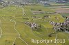 Luftaufnahme Kanton Waadt/Weinberge am Genfersee - Foto Weinberge 6557