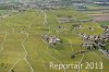 Luftaufnahme Kanton Waadt/Weinberge am Genfersee - Foto Weinberge 6559