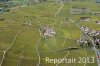 Luftaufnahme Kanton Waadt/Weinberge am Genfersee - Foto Weinberge 6563