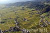 Luftaufnahme Kanton Waadt/Weinberge am Genfersee - Foto Weinberge 6573