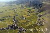 Luftaufnahme Kanton Waadt/Weinberge am Genfersee - Foto Weinberge 6574