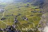 Luftaufnahme Kanton Waadt/Weinberge am Genfersee - Foto Weinberge 6576