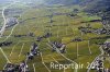 Luftaufnahme Kanton Waadt/Weinberge am Genfersee - Foto Weinberge 6577