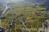 Luftaufnahme Kanton Waadt/Weinberge am Genfersee - Foto Weinberge 6578