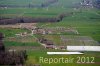 Luftaufnahme LANDWIRTSCHAFT/Aesch Honeriweid - Foto Honeriweid 2785