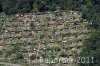 Luftaufnahme Kanton Zuerich/Stadt Zuerich/Familiengaerten - Foto Familiengaerten 2537