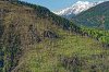 Luftaufnahme NATURSCHUTZ/Visp Waldbrand - Foto Visp WaldbrandWaldbrandwald 4177