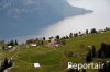 Luftaufnahme Kanton Luzern/Rigi - Foto RigiRIGIFIRST6894