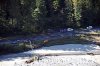 Luftaufnahme HOCHWASSER/Luetschinental - Foto Luetschinental Okt 2011 8471