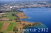 Luftaufnahme Kanton Zug/Zugersee/Schilfguertel am Zugersee - Foto Schilfguertel 5720