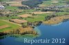 Luftaufnahme Kanton Zug/Zugersee/Schilfguertel am Zugersee - Foto Schilfguertel 5767