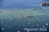 Luftaufnahme SCHIFFFAHRT/Schiffe  bei der Ufenau - Foto Boote Ufenau 3361