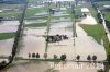 Luftaufnahme Kanton St.Gallen/Widnau Hochwasser 2013 - Foto Widnau 8966