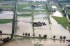 Luftaufnahme Kanton St.Gallen/Widnau Hochwasser 2013 - Foto Widnau 8967