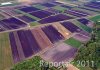 Luftaufnahme LANDWIRTSCHAFT/Seeland Grosses Moos - Foto Grosses Moos SeelandTrockenheit Luft 0894