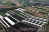 Luftaufnahme LANDWIRTSCHAFT/Seeland Grosses Moos - Foto Grosses Moos Seeland 0887