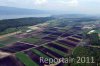 Luftaufnahme LANDWIRTSCHAFT/Seeland Grosses Moos - Foto Grosses Moos Seeland 0891