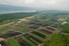 Luftaufnahme LANDWIRTSCHAFT/Seeland Grosses Moos - Foto Trockenheit Luft 0892