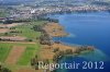 Luftaufnahme NATURSCHUTZ/Schilfguertel am Zugersee - Foto Schilfguertel 5721