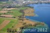 Luftaufnahme NATURSCHUTZ/Schilfguertel am Zugersee - Foto Schilfguertel 5725