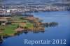 Luftaufnahme NATURSCHUTZ/Schilfguertel am Zugersee - Foto Schilfguertel 5739