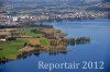 Luftaufnahme NATURSCHUTZ/Schilfguertel am Zugersee - Foto Schilfguertel 5740