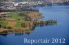 Luftaufnahme NATURSCHUTZ/Schilfguertel am Zugersee - Foto Schilfguertel 5744