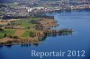 Luftaufnahme NATURSCHUTZ/Schilfguertel am Zugersee - Foto Schilfguertel 5745