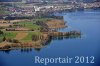 Luftaufnahme NATURSCHUTZ/Schilfguertel am Zugersee - Foto Schilfguertel 5746