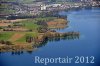 Luftaufnahme NATURSCHUTZ/Schilfguertel am Zugersee - Foto Schilfguertel 5748