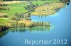 Luftaufnahme NATURSCHUTZ/Schilfguertel am Zugersee - Foto Schilfguertel 5756