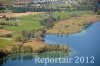 Luftaufnahme NATURSCHUTZ/Schilfguertel am Zugersee - Foto Schilfguertel 5758