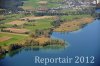 Luftaufnahme NATURSCHUTZ/Schilfguertel am Zugersee - Foto Schilfguertel 5760