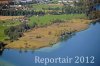 Luftaufnahme NATURSCHUTZ/Schilfguertel am Zugersee - Foto Schilfguertel 5762