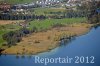 Luftaufnahme NATURSCHUTZ/Schilfguertel am Zugersee - Foto Schilfguertel 5763